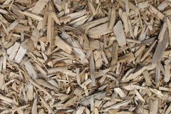 biomass boilers Pelaw