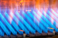 Pelaw gas fired boilers